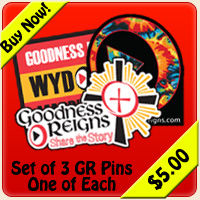 GR WYD Pins